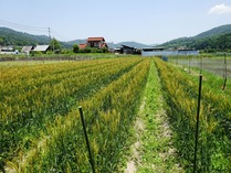 20180602 (22)