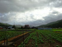 20180825 (1)