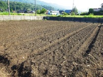 20180804 (9)