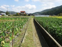 20181009 (17)