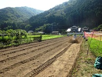 20180804 (17)