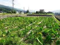 20180728 (6)