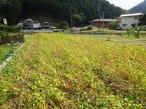 20181018 (8)