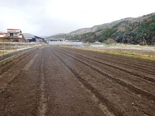 2011213¡¡ (11)