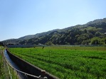 20170423 (16)