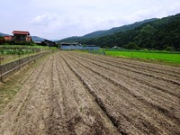 20170722 (30)