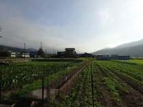 20180819 (6)