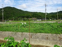20180911 (13)