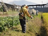 28草刈り