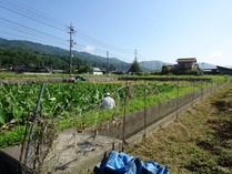 20180714 (24)