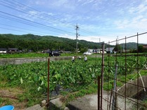 20180911 (14)
