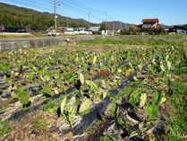 20181105 (6)
