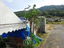 20181022 (17)