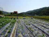 20180602 (14)