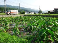 20170722 (6)