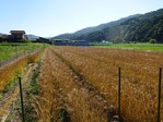 20170617¡¡ (2)