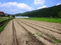20170713 (3)