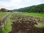 20170702 (37)
