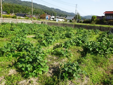 20181018 (3)