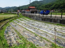 20180602 (19)