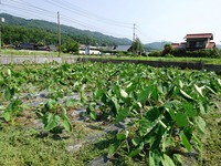 20170722 (21)