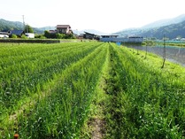 20180512 (11)