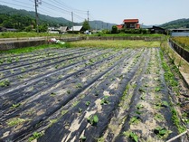 20180602 (20)