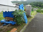 20170708 (3)