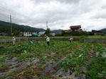 20170708 (7)