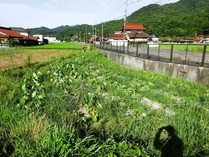 20180722 (5)