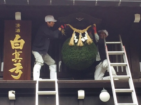 杉玉4