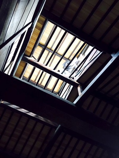 梁掃除2