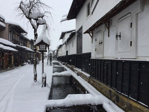 IMG_2099
