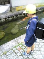 ピカピカ1年生
