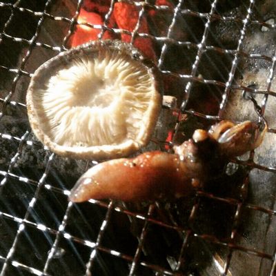 ほたるいか炭火焼き