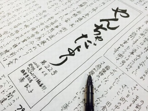 やんちゃだより