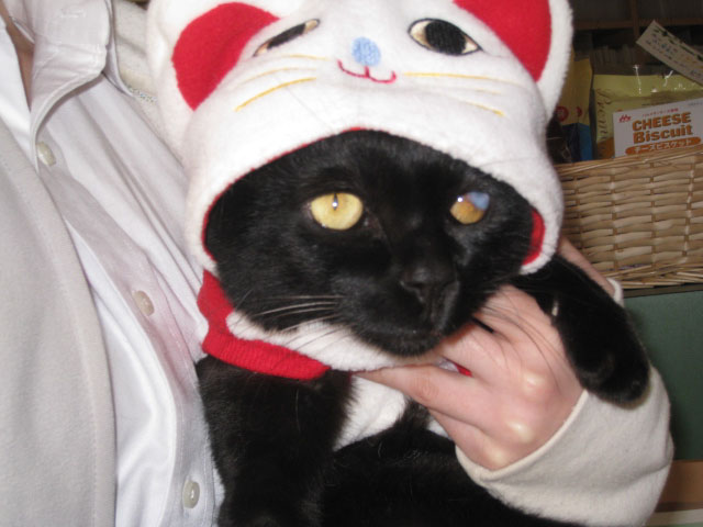 MANEKINEKO
