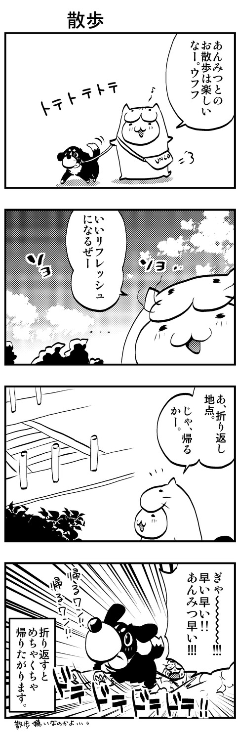 犬猫11 3-2