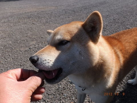1-004