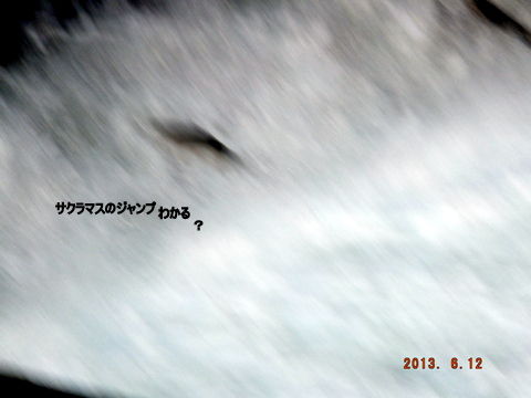 S0212031