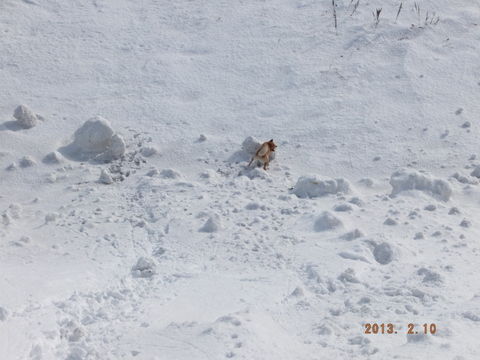 S0029003