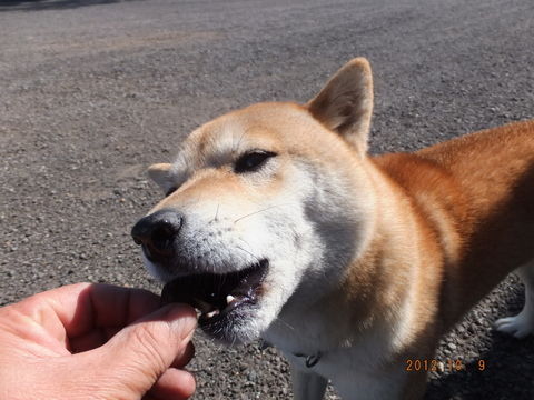 1-003
