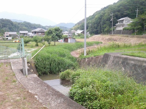 37008