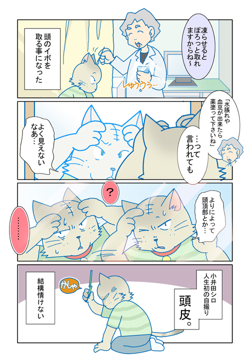 おできを取る
