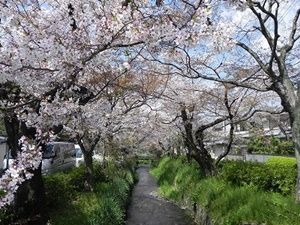 下鴨