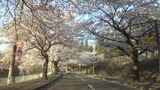 005198b7.jpg