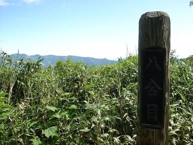 RIMG6516