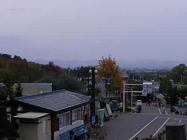 RIMG3724