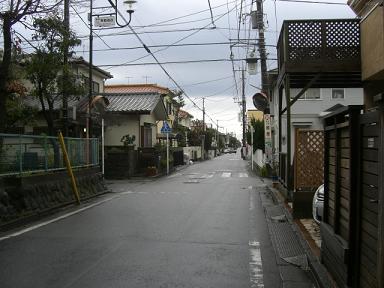 24304b6c.jpg