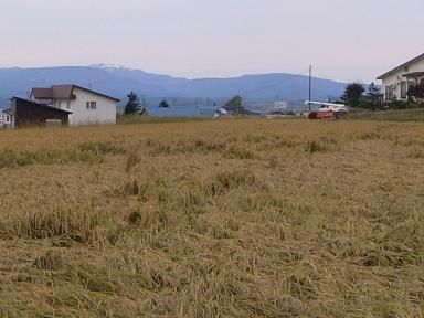 RIMG3680